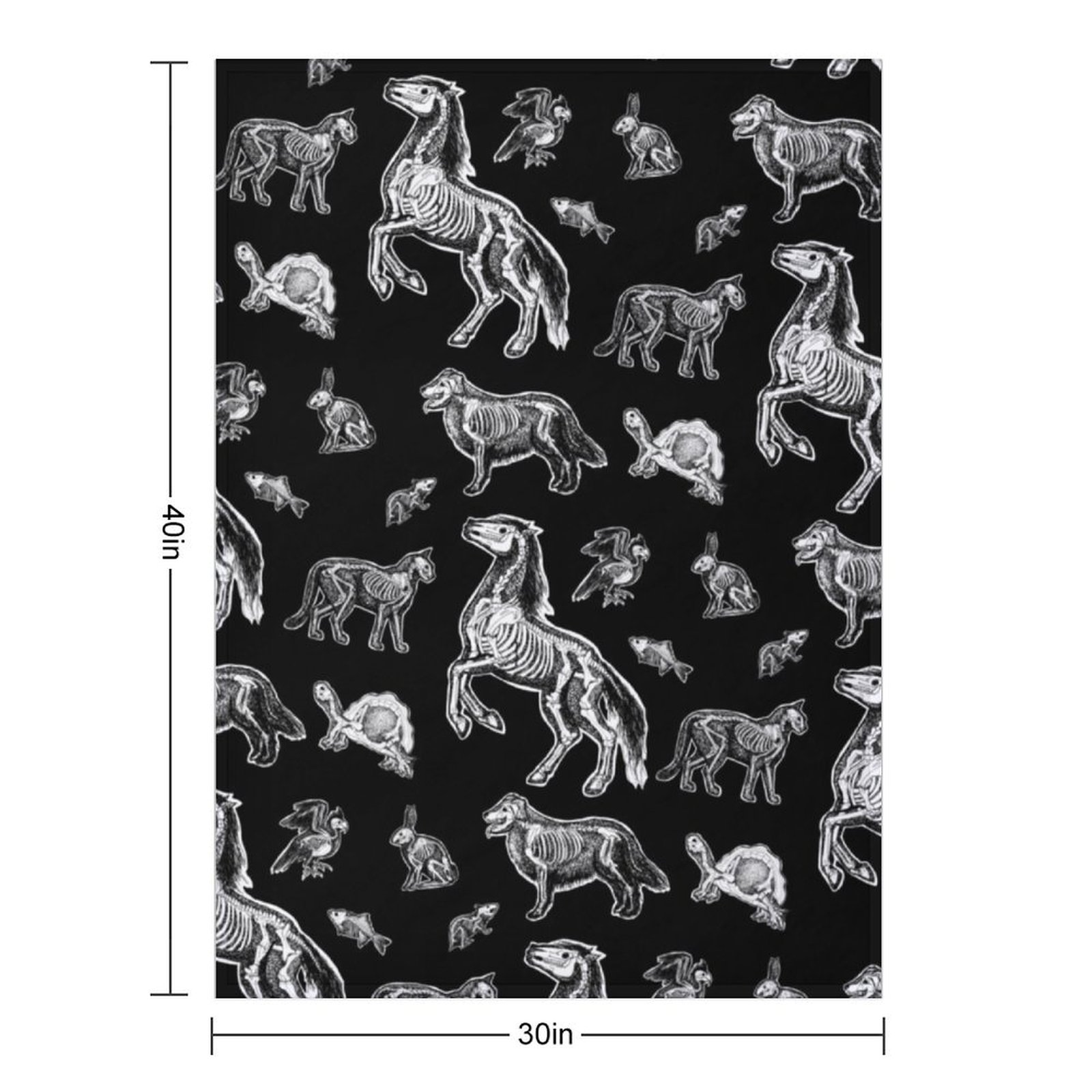 Veterinary Technician :: X-ray - 3D Printing X Ray review and price