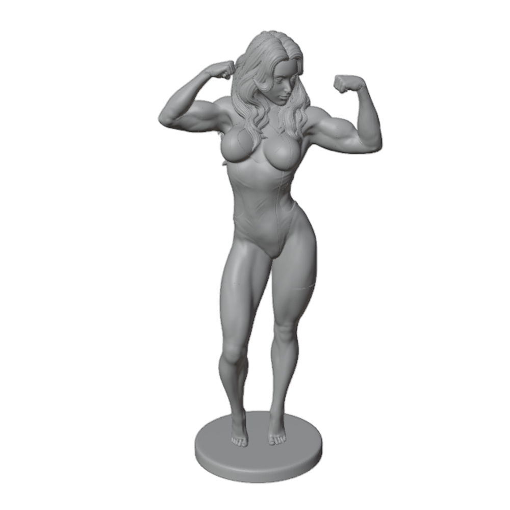 Sexy Fitness Woman, Long-Haire - 3D Printing Instructor review and price